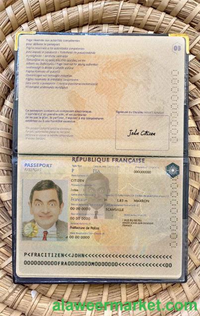 France passport version 2 photo look